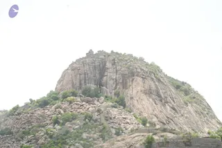 August 08 2009