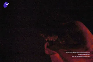 August 17 2006
