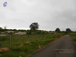October 01 2006