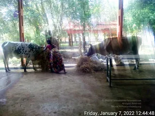 January 07 2022