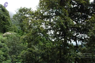 July 07 2008