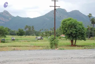 July 28 2008