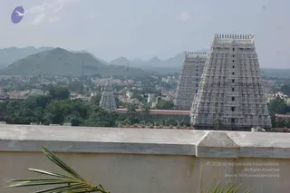 May 20 1989
