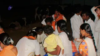 January 16 2008