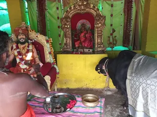 KASHI-SARVAJNAPEETAM-2021-12-29-1LPbPFawv0U6JyQpxfbhQLMhYhcEt0W5J.jpg