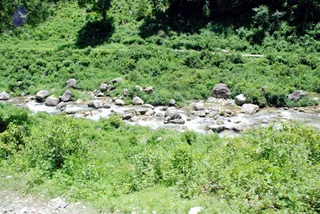 July 01 2008