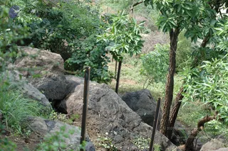 May 20 1989