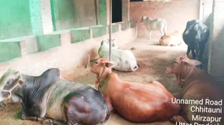 KASHI SARVAJNAPEETAM on 5/31/2022