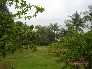 October 30 2006