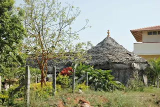February 19 2008