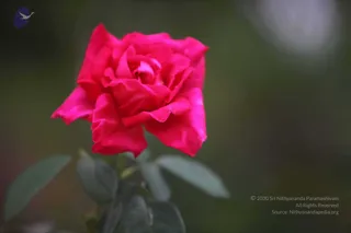 February 25 2011