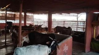 Feb 4 2022 sripuram