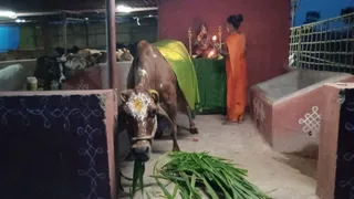 November 28 2022 sripuram