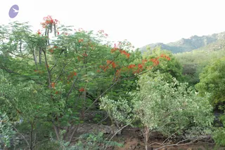 August 01 2008