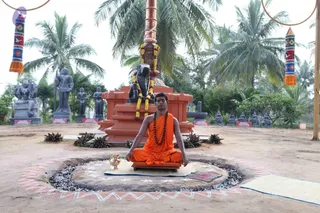 November 15 2010