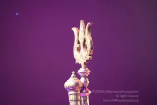 April 03 2018
