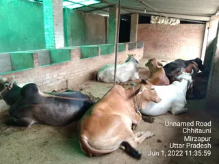 KASHI SARVAJNAPEETAM on 6/1/2022