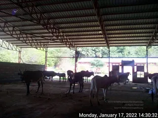 January 17 2022