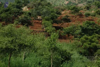 May 20 1989