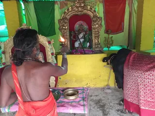 KAILASA India Up Kashi 221001 on 1/10/2022