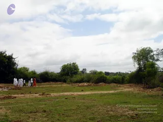2005 - View-of-Ananda-Sabha-Construction