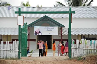 November 20 2008