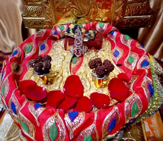 KAILASA LOS ANGELES, USA on 1/21/2022