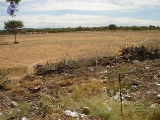 October 09 2006
