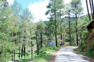 July 01 2008