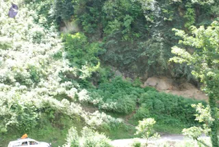 July 02 2008