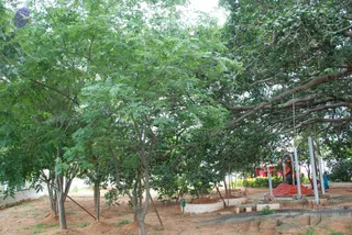September 07 2009
