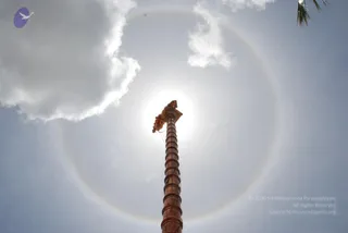 July 11 2010