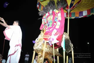 November 11 2010