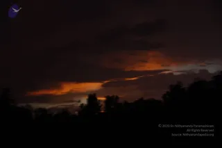 August 10 2011