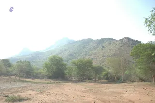 1978 - Tiruvannamalai - InnerGirivala