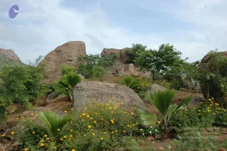 May 20 1989