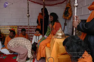 June 01 2006