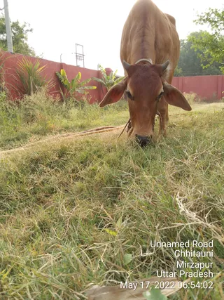 KASHI SARVAJNAPEETAM on 5/17/2022