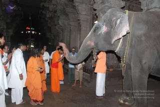 August 01 2009 - Kalpataru, Thiruvanaikaval, India