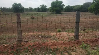 June 04 2021