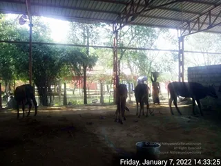 January 07 2022
