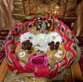 KAILASA LOS ANGELES, USA on 2/9/2022