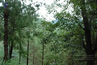 July 07 2008