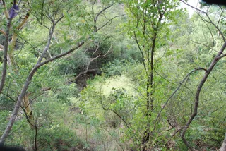 August 03 2008