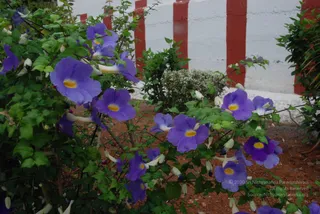 July 08 2010
