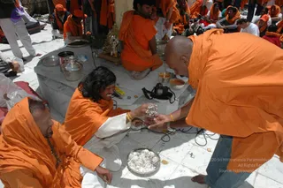 June 01 2006