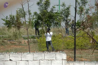 June 05 2010