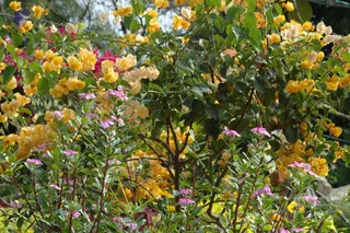 October 03 2010