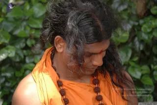 June 04 2006