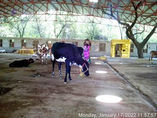 January 17 2022